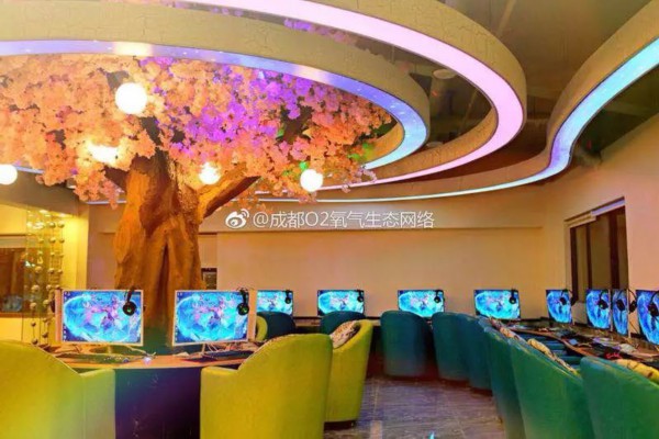 上海的城市绿肺：公园中的天然氧吧